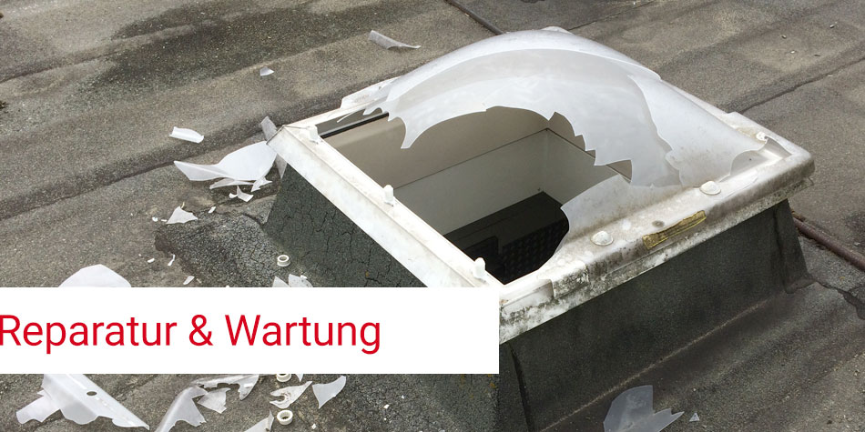 Wartung